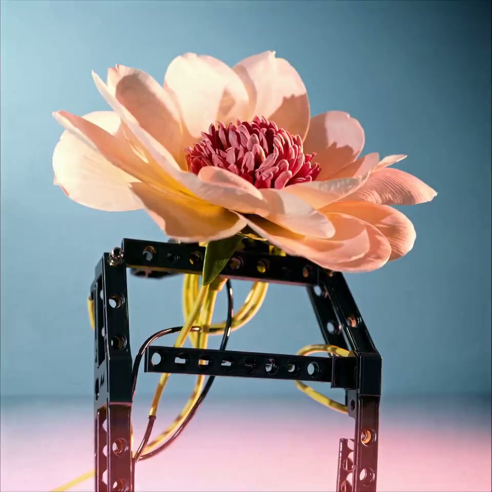 Project view MECHANICAL FLOWER